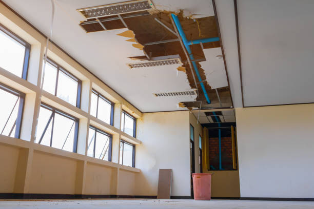 Best Water damage contractors near me  in Blaine, MN
