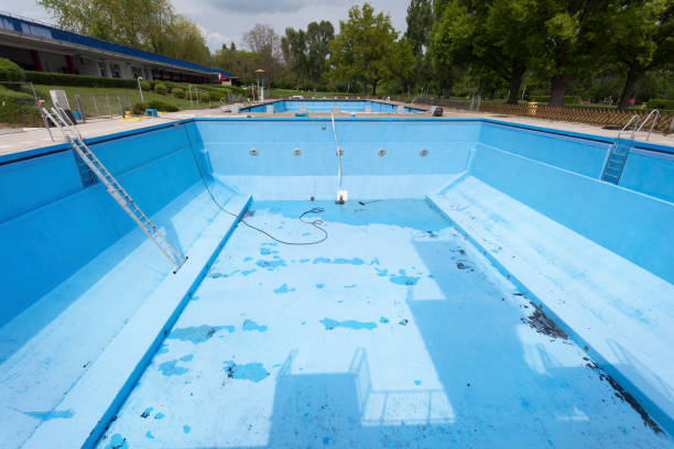 Best Mold removal after water damage  in Blaine, MN