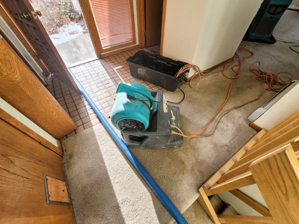Best Water damage restoration near me  in Blaine, MN