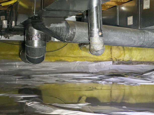 Best Flood restoration services  in Blaine, MN