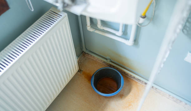 Best Water damage restoration near me  in Blaine, MN