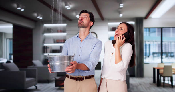 Best Local water damage restoration  in Blaine, MN