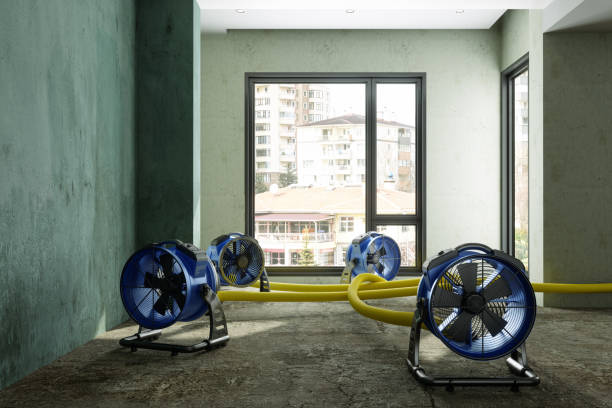 Best 24-hour water damage restoration  in Blaine, MN